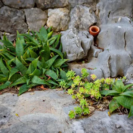 Design&art Seafront Villa Bobovisca