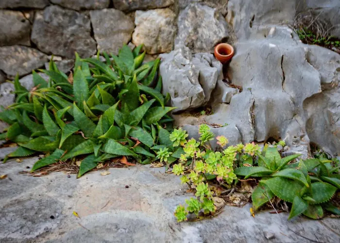 Design&art Seafront Villa Bobovisca