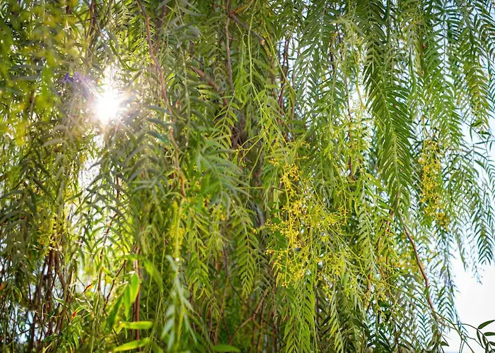 Villa Design&art Seafront