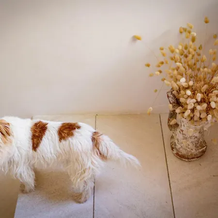 Willa Design&art Seafront