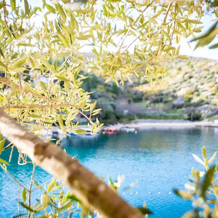 ヴィラ Design&art Seafront