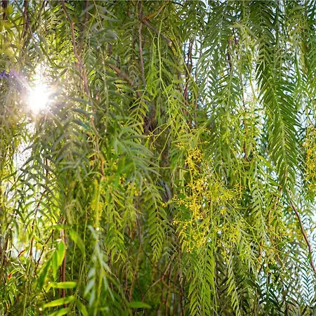 Willa Design&art Seafront